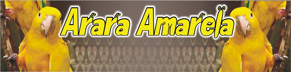 Arara Amarela 2010