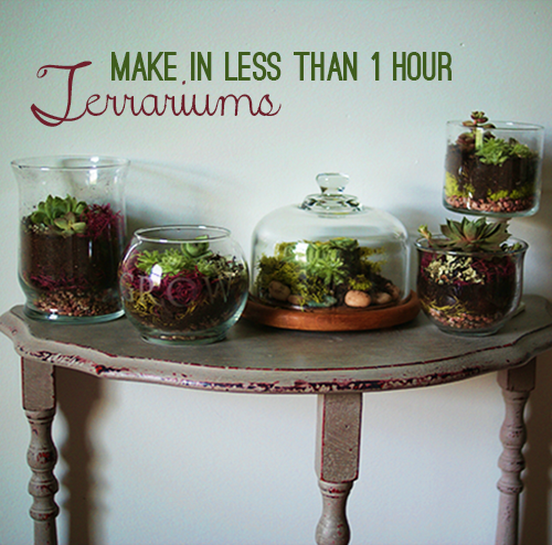 http://savedbylovecreations.com/2013/05/make-terrariums-galore-in-under-1-hour.html