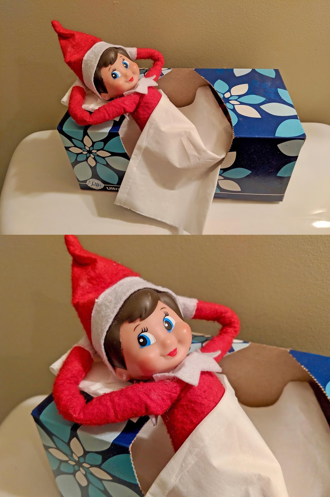 Elf on the Shelf The Adventures of Luna 2018