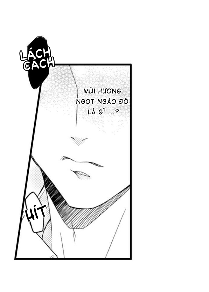 Đọc truyện Ai Muốn Được Yêu Thương Nào - Chapter 2