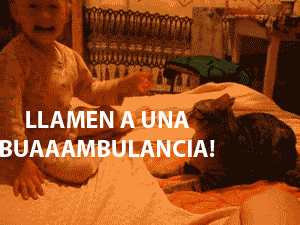 reporte_17.gif