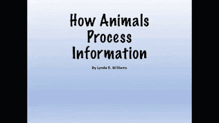 Structure and Function Fourth Grade