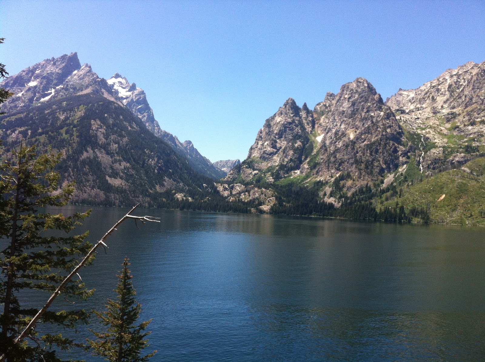 Wyoming Peach Jenny Lake Overlook