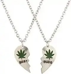 Best Buds Necklace review