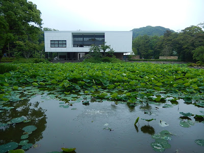 源平池 鶴岡八幡宮の源氏池と平家池