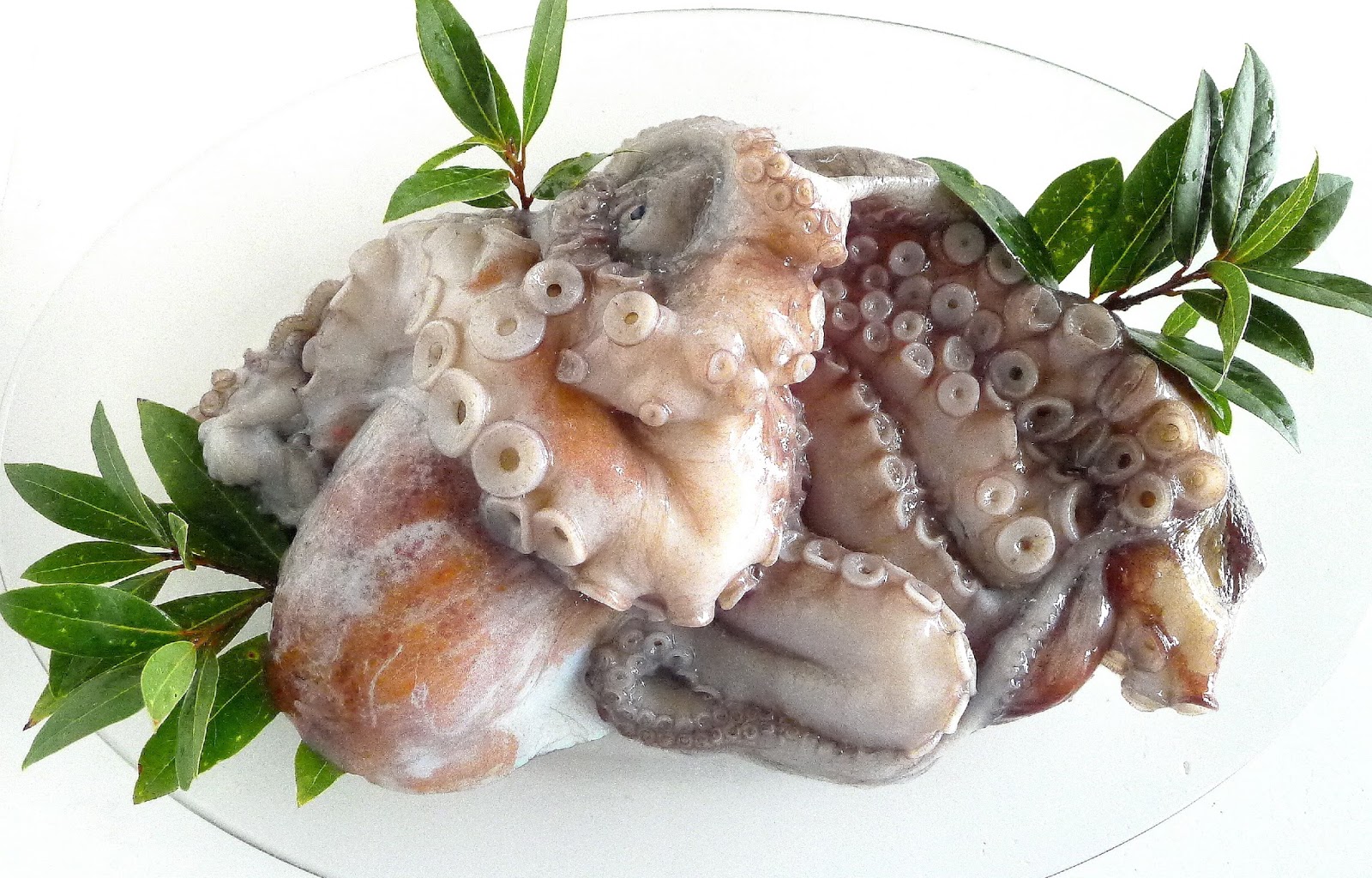 MY KITCHEN IN SPAIN YET MORE TENTACLE ADVENTURES—OCTOPUS