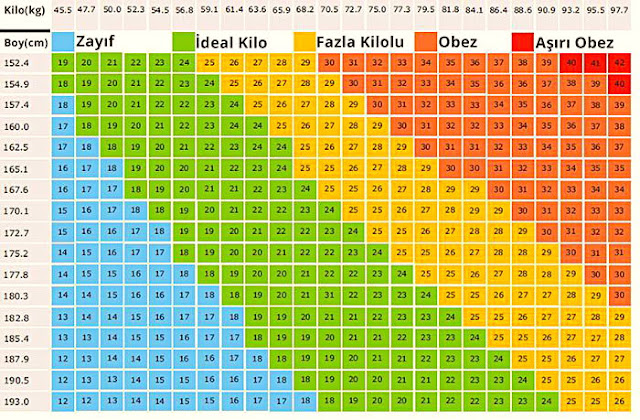 Vücut kitle indeksi tablo açıklaması