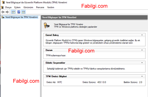 Tmp 2.0 что это. Tmp 2.0 bios. tmp 2.0.