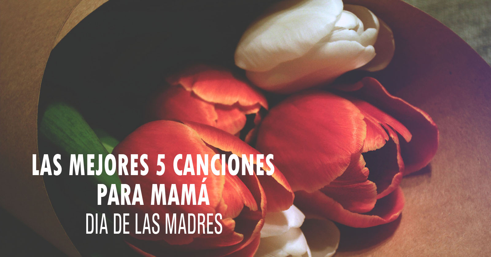 LAS MEJORES 5 CANCIONES PARA MAMÁ