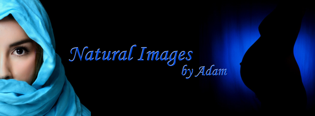 Natural Images by Adam