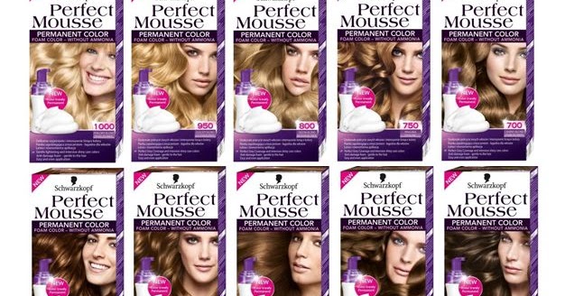 ambitie Van Overtekenen BLOG REVIEW: Schwarzkopf Perfect Mousse Hair Color