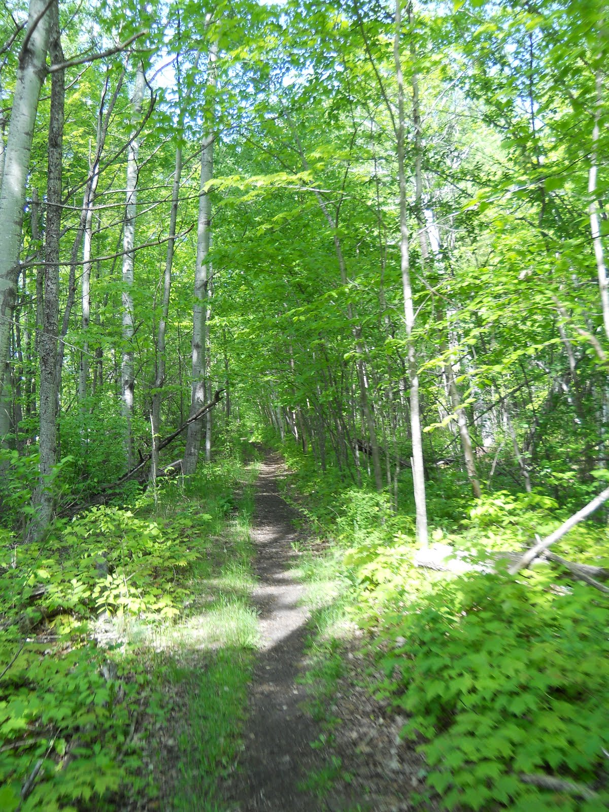 ride on purpose Duluth Mountain Biking at Lester Park, Bayfield area