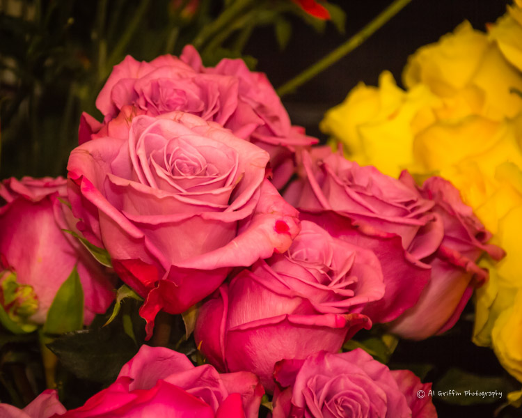 Our Eyes Upon Missouri Versailles Florist and Greenhouse, Versailles