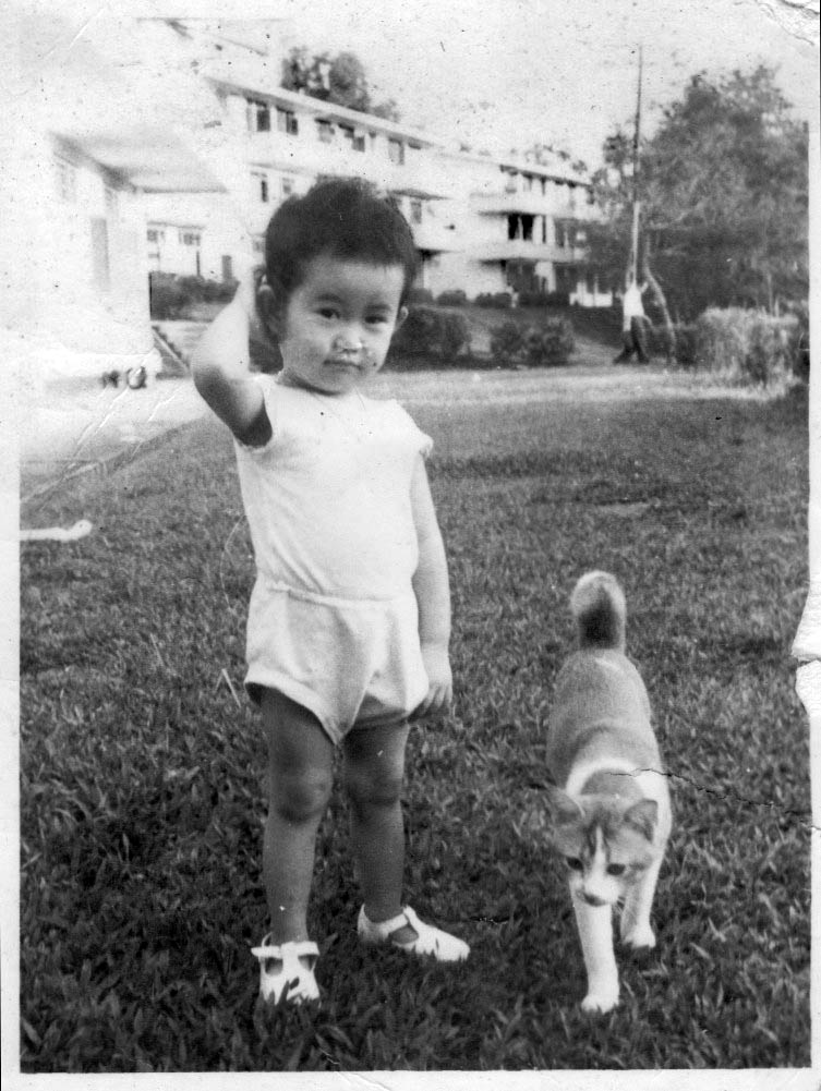 Princess Elizabeth Estate, Hillview Photos