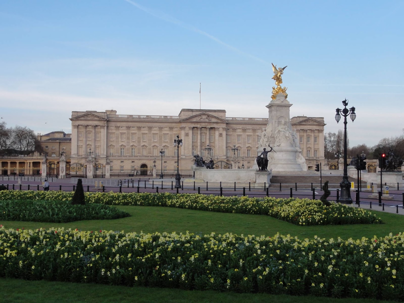 Chasing Molly-My TMC Journey: The Journey Begins