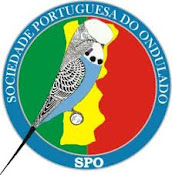 Sociedade Portuguesa Do Ondulado