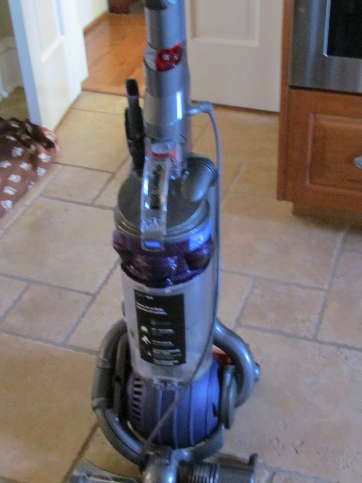 How well does your vacuum work? Dyson Pet Brand Staying Close To Home
