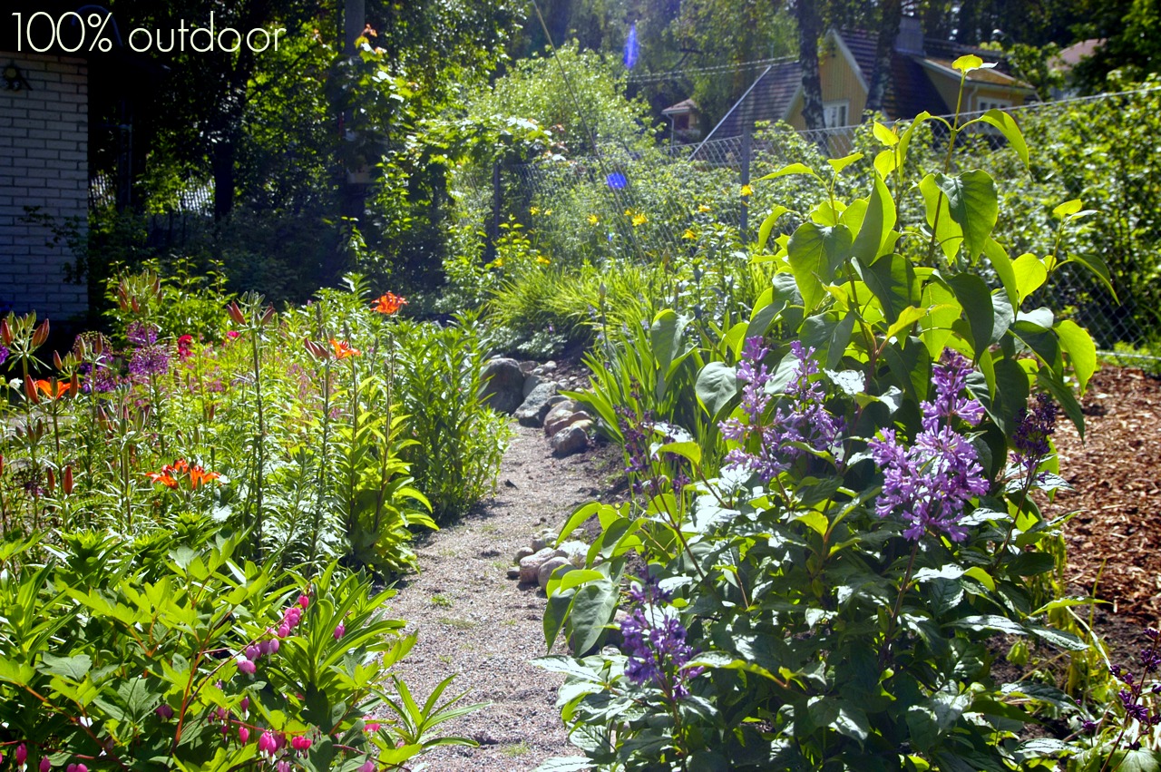 pillereitä tehdä peniksen Iso