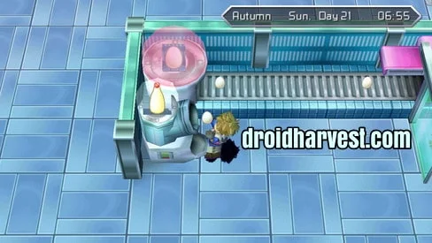 Harvest Moon: Innocent Life Animals