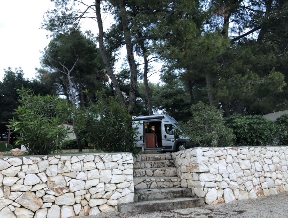 Muggel Trip 3m Flucht Nach Vorn