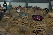 Di Tengah Pandemi Corona, 27 Orang di Bekasi Asik Main Sabung Ayam