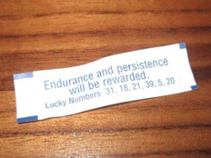 My Magnificent Feathers