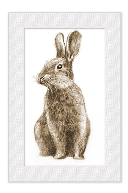 Bunny wall art. Bunny print. Kids room wall art. Nursery print. Animal wall art. Animal nursery print Nursery poster Rabbit Charcoal Drawing #bunny #rabbit #walldecor #walldecorationideas #nursery #nurserydecor #filkinascarves #drawings