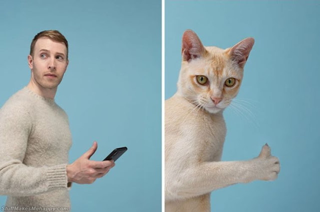 Similar Pictures of Cats and their Owners