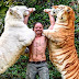 The 'forest man' play with tiger