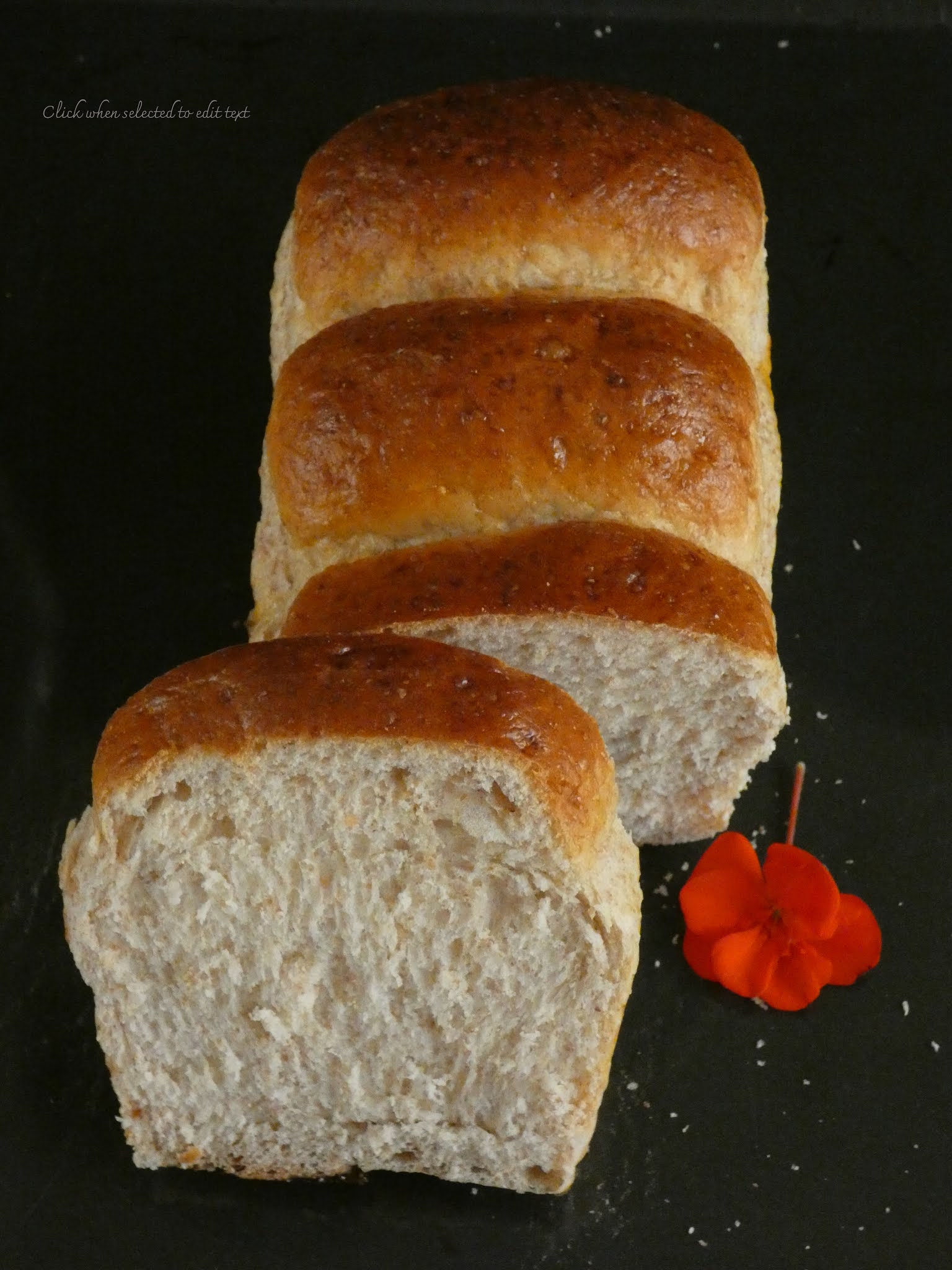 El Zurrón de los Postres Pan Hokkaido Integral