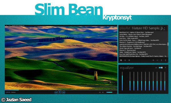 Slim_bean_vlc_media_player_skin_by_kryptonsyt-d5vtep3