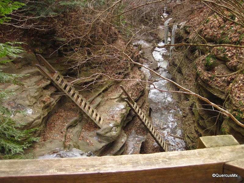 Lost Hikers Turkey Run State Park Una fría excursión