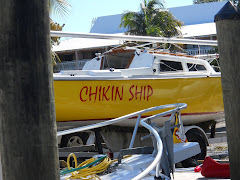 The owner's mom saw the yellow and red paint on the boat, and suggested the name, I'm told. Funny.