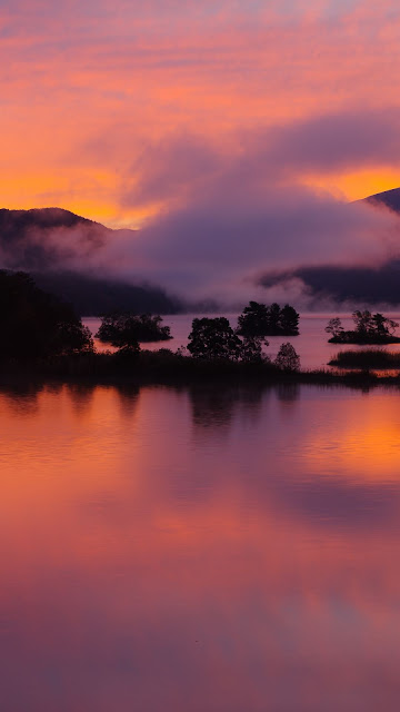 Clouds, pink sunset, island, dusk, trees, lake Clouds, pink sunset, island, dusk, trees, lake