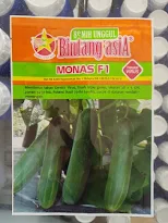 tanam timun, mentimun, manfaat timun, jual benih mentimun, toko pertanian, toko online, lmga agro