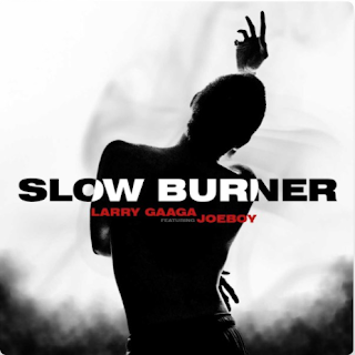 [Audio + Video] Larry Gaaga x Joeboy – Slow Burner