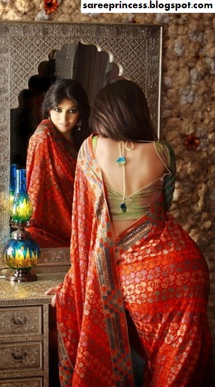 Mixed Saree Shots From Indian And Bangladeshi Actresses-3973