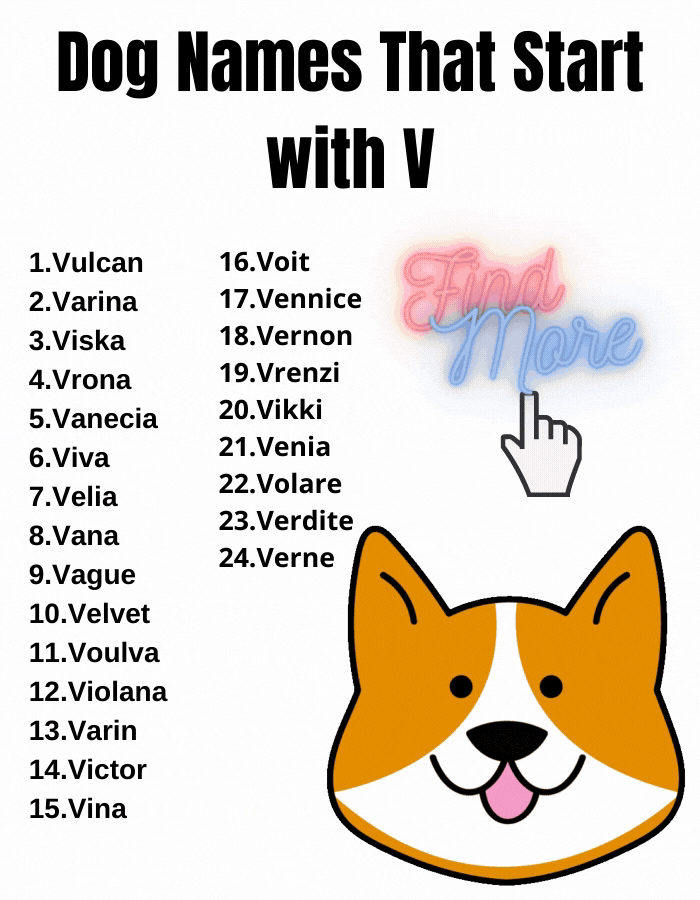 Dog Names That Start with V for Girl and Boy Dog Your Hop