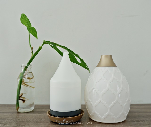 Bedanya Diffuser Mahal Dengan Diffuser Murah Racun WarnaWarni