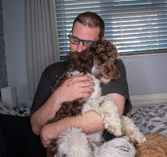 Man with beard and glasses sat on bed cuddling a brown and white cockapoo