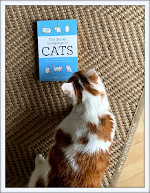 Feline Fiction on Fridays #122 ©BionicBasil® The Secret Language of Cats - Amber's Purrsonal Copy