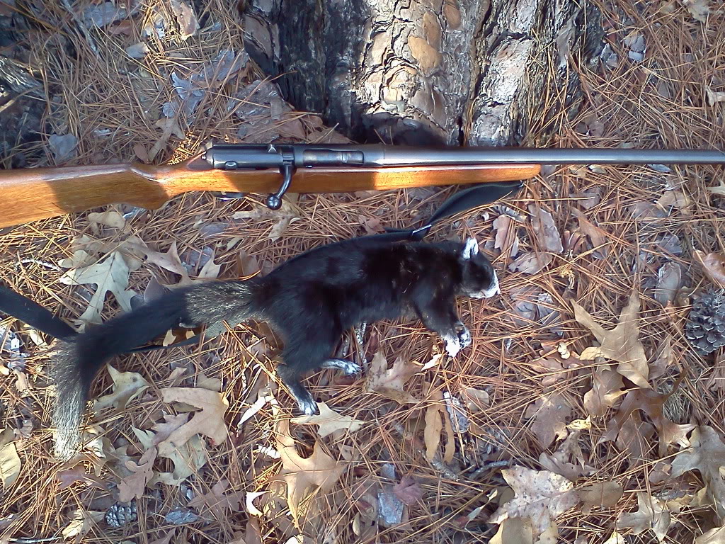 Squirrel Hunting