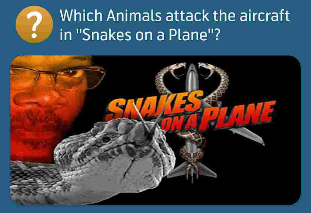 Which Animals attack the aircraft in ''Snakes on a Plane''?