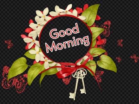 Good Morning Butterfly Good Morning Butterfly