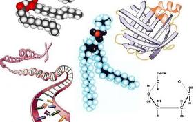 Science Education Resources || Recursos Educativos en CC.NN ...