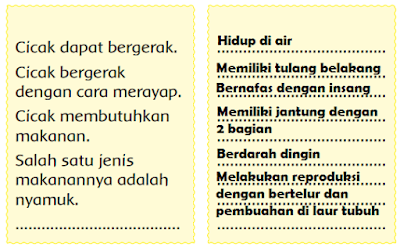 ciri-ciri ikan dan cicak sebagai makhluk hidup yang kamu ketahui www.simplenews.me