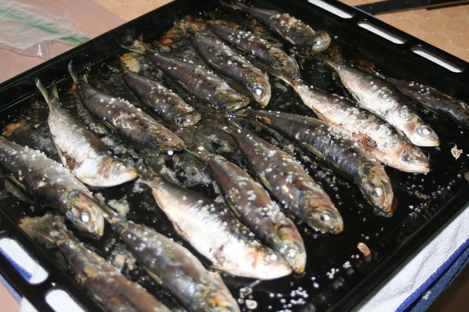 Fresh Sardines + Arriving to Spain