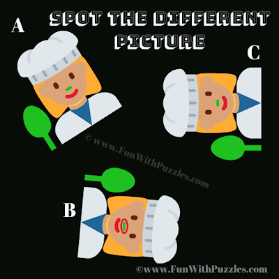 Odd One Out Picture Puzzle-Answer