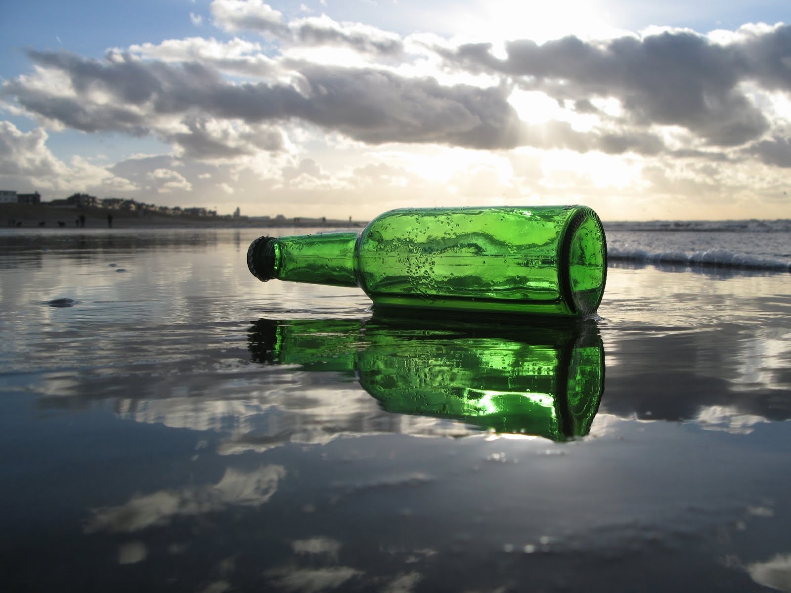 Washed up on the beach