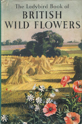 ladybird unmitigated fly away england